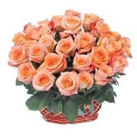 Luxury Elegant - 24 Stems Basket